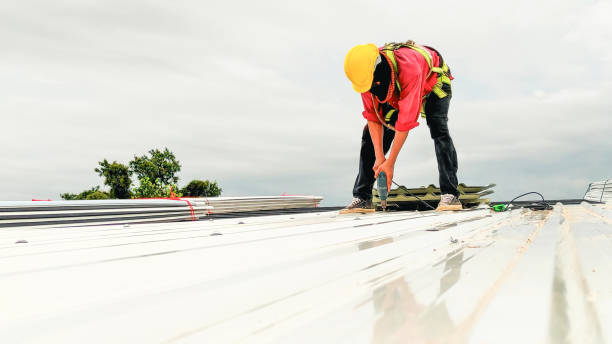 Best Roof Moss and Algae Removal  in Mount Healthy, OH